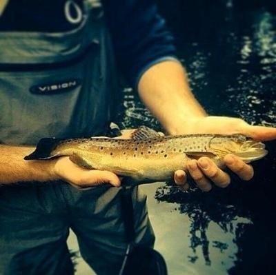 Salmon and Wild Brown Trout Fishing on the River Lyon